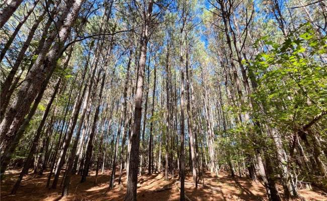 15 Acres Cypress Chapel Road, Suffolk, VA 23434