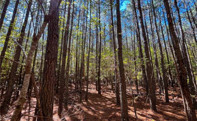 15 Acres Cypress Chapel Road, Suffolk, VA 23434