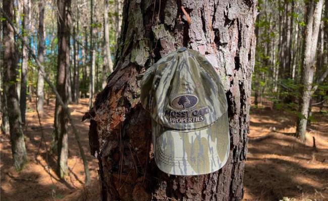 15 Acres Cypress Chapel Road, Suffolk, VA 23434