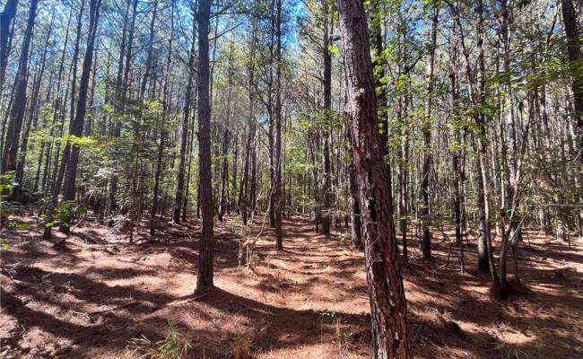 15 Acres Cypress Chapel Road, Suffolk, VA 23434