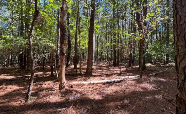 15 Acres Cypress Chapel Road, Suffolk, VA 23434