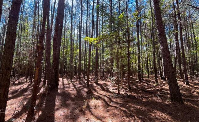 15 Acres Cypress Chapel Road, Suffolk, VA 23434