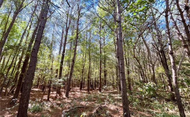 15 Acres Cypress Chapel Road, Suffolk, VA 23434