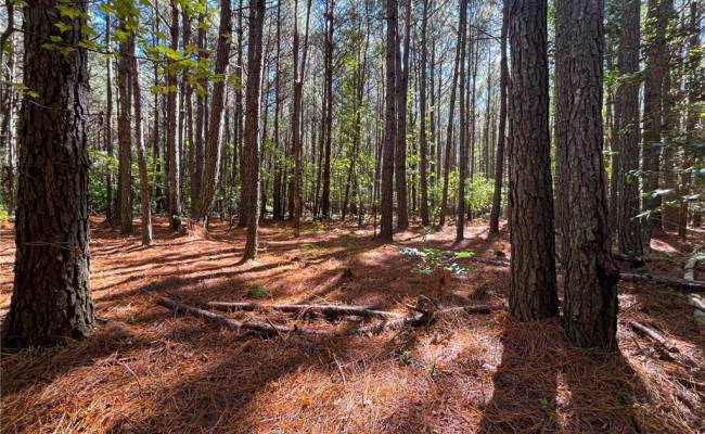 15 Acres Cypress Chapel Road, Suffolk, VA 23434