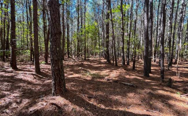 15 Acres Cypress Chapel Road, Suffolk, VA 23434