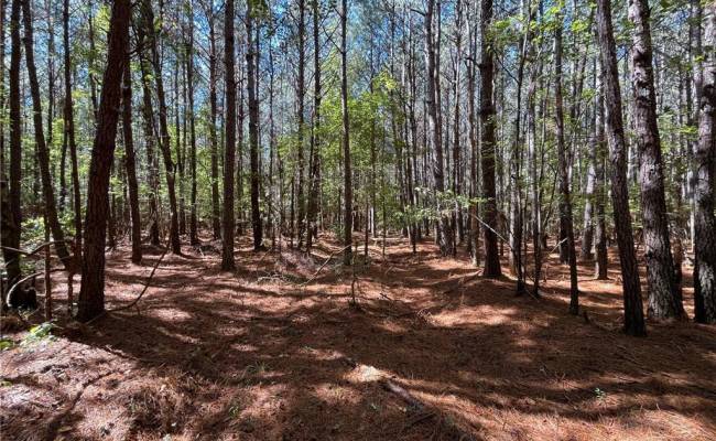 15 Acres Cypress Chapel Road, Suffolk, VA 23434