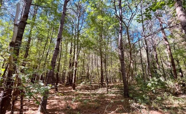 15 Acres Cypress Chapel Road, Suffolk, VA 23434