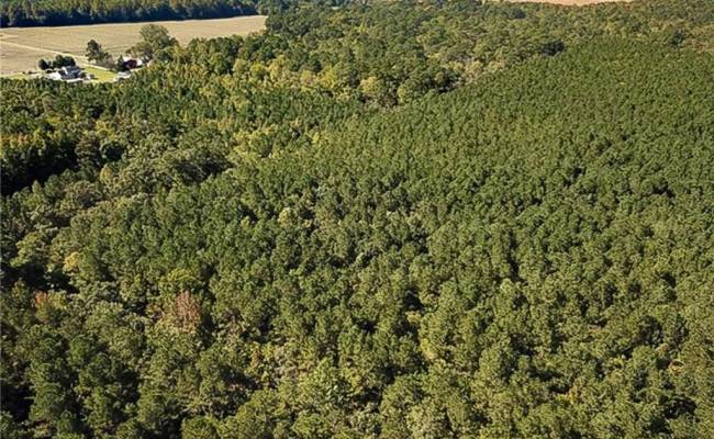 15 Acres Cypress Chapel Road, Suffolk, VA 23434
