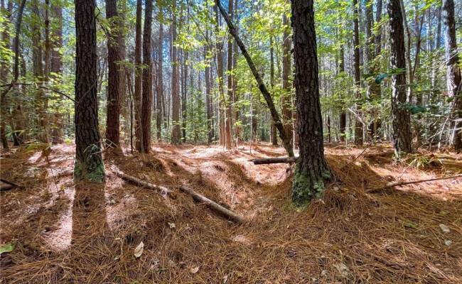 15 Acres Cypress Chapel Road, Suffolk, VA 23434