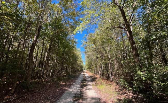 15 Acres Cypress Chapel Road, Suffolk, VA 23434