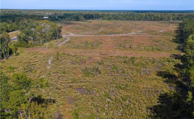 75+ac Piney Swamp Road, Gloucester County, VA 23061