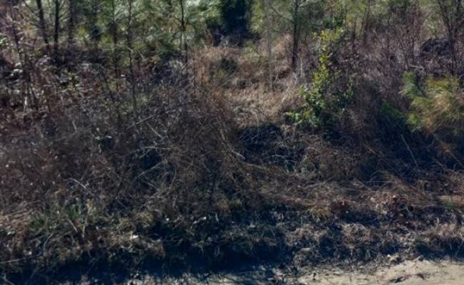 Lot 9 Saw Mill Lane, Gloucester County, VA 23061