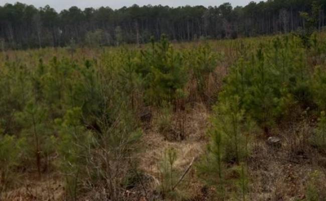 Lot 9 Saw Mill Lane, Gloucester County, VA 23061