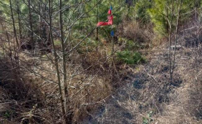 Lot 9 Saw Mill Lane, Gloucester County, VA 23061