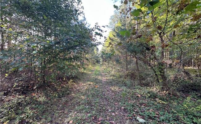 16.4ac Plainview Drive, King & Queen County, VA 23149