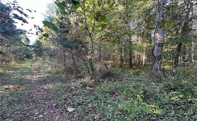 16.4ac Plainview Drive, King & Queen County, VA 23149