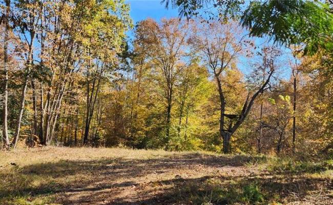 16.4ac Plainview Drive, King & Queen County, VA 23149