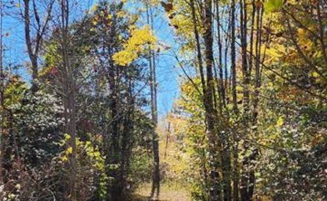 16.4ac Plainview Drive, King & Queen County, VA 23149