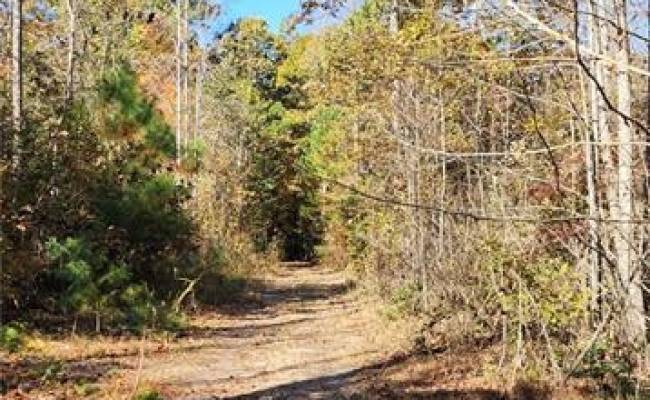16.4ac Plainview Drive, King & Queen County, VA 23149