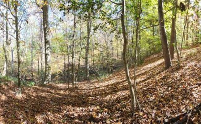 16.4ac Plainview Drive, King & Queen County, VA 23149