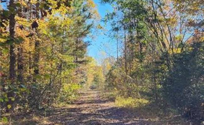 16.4ac Plainview Drive, King & Queen County, VA 23149
