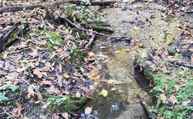 16.4ac Plainview Drive, King & Queen County, VA 23149