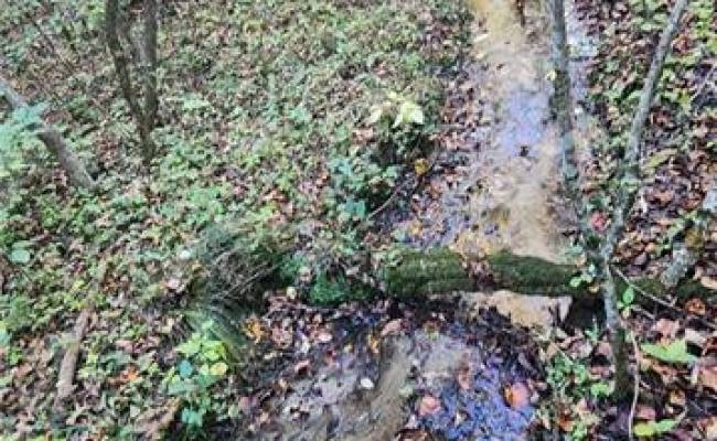 16.4ac Plainview Drive, King & Queen County, VA 23149