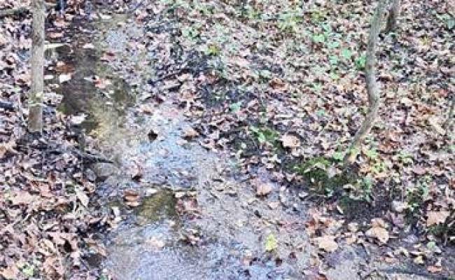16.4ac Plainview Drive, King & Queen County, VA 23149