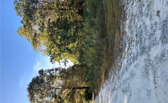 16.4ac Plainview Drive, King & Queen County, VA 23149