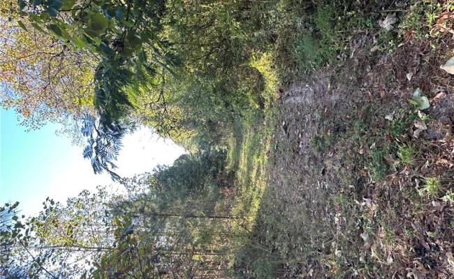 16.4ac Plainview Drive, King & Queen County, VA 23149