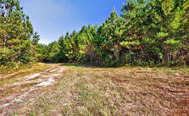 572 AC BUCKHORN RD & CHAPPELL Drive, Suffolk, VA 23437