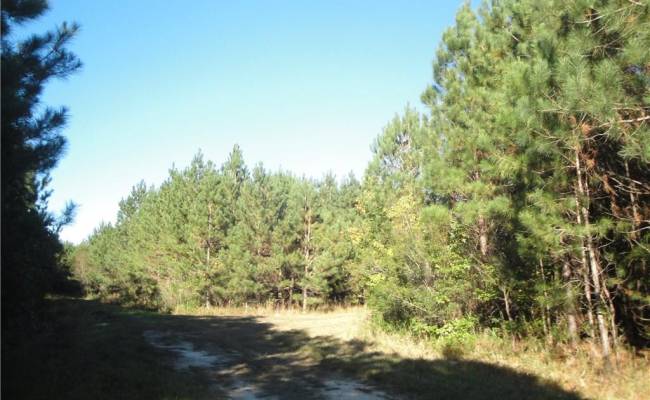 572 AC BUCKHORN RD & CHAPPELL Drive, Suffolk, VA 23437