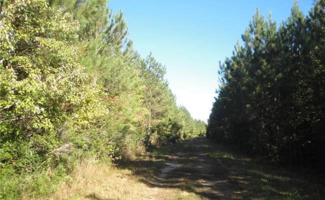572 AC BUCKHORN RD & CHAPPELL Drive, Suffolk, VA 23437
