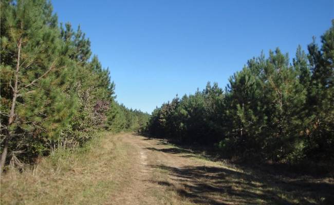 572 AC BUCKHORN RD & CHAPPELL Drive, Suffolk, VA 23437