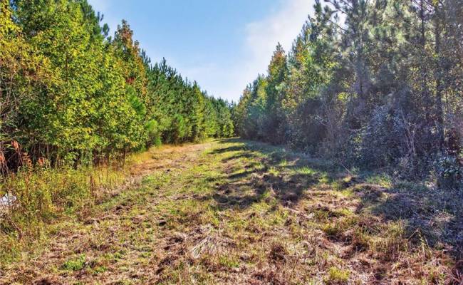 572 AC BUCKHORN RD & CHAPPELL Drive, Suffolk, VA 23437