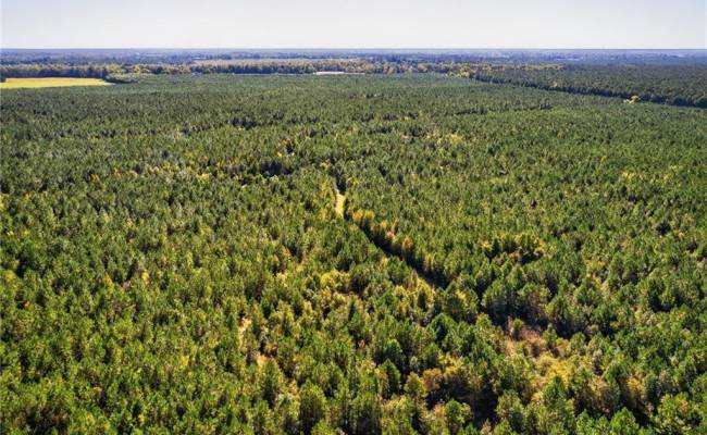 572 AC BUCKHORN RD & CHAPPELL Drive, Suffolk, VA 23437