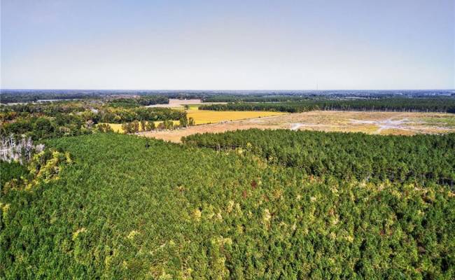 572 AC BUCKHORN RD & CHAPPELL Drive, Suffolk, VA 23437