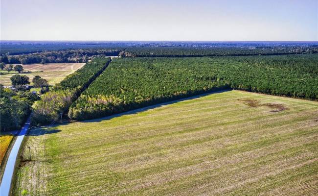 572 AC BUCKHORN RD & CHAPPELL Drive, Suffolk, VA 23437