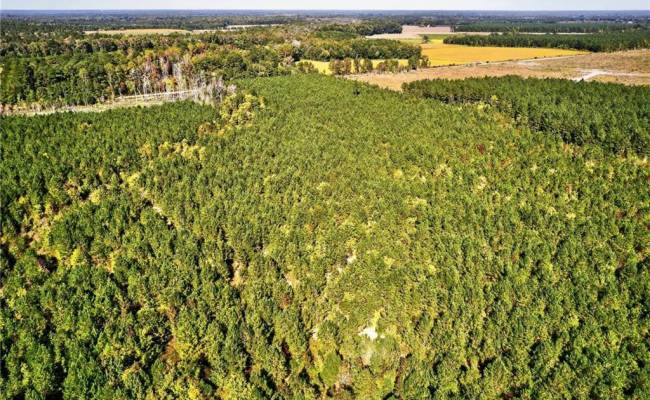 572 AC BUCKHORN RD & CHAPPELL Drive, Suffolk, VA 23437