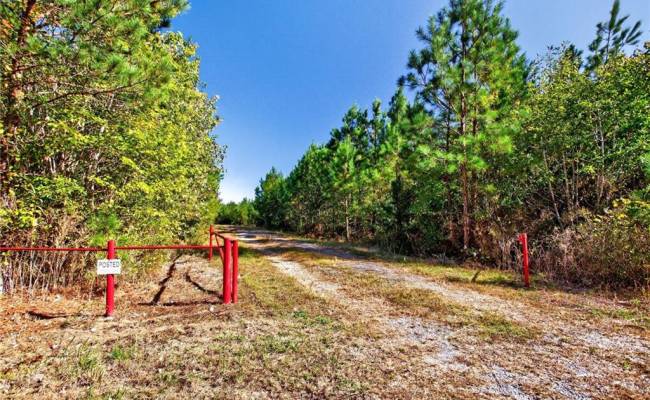 572 AC BUCKHORN RD & CHAPPELL Drive, Suffolk, VA 23437