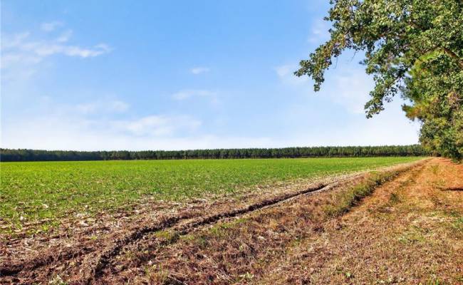 572 AC BUCKHORN RD & CHAPPELL Drive, Suffolk, VA 23437
