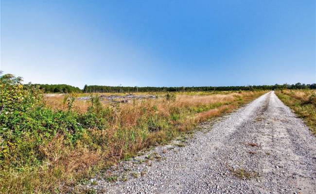 572 AC BUCKHORN RD & CHAPPELL Drive, Suffolk, VA 23437