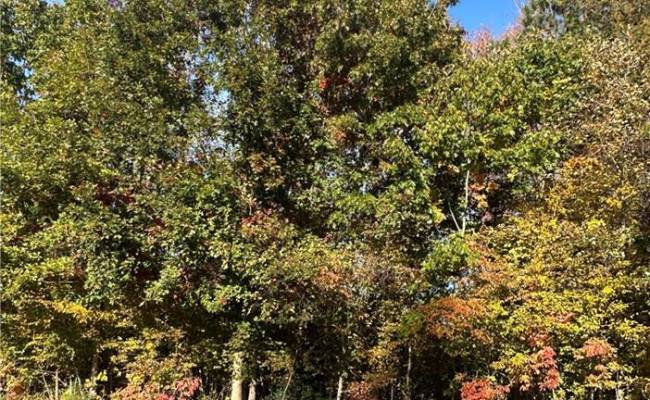 208 Monifieth , James City County, VA 23188