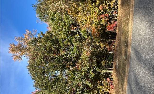 208 Monifieth , James City County, VA 23188