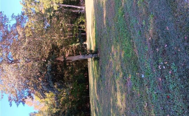 .26+AC Cove Road, Gloucester County, VA 23072