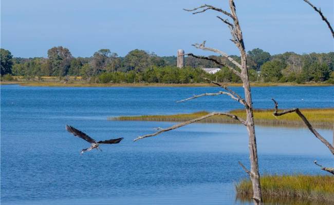 25+AC Glass Road, Gloucester County, VA 23072