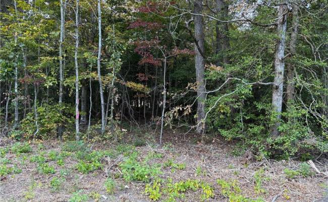 3AC Hog Island Lot 3 Road, Surry County, VA 23883