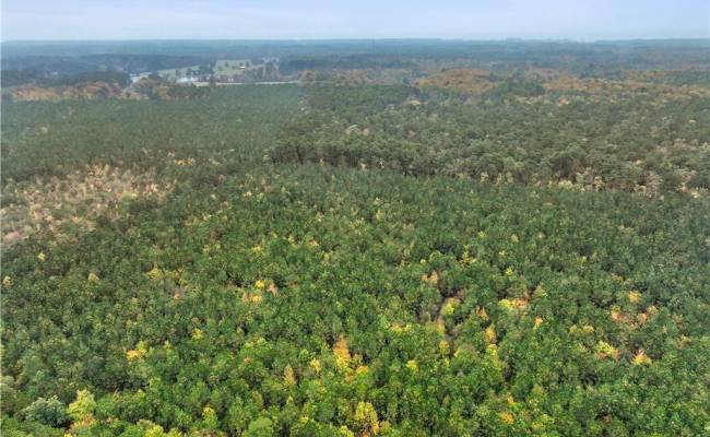 25+AC Low Ground Road, Gloucester County, VA 23072