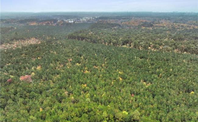 25+AC Low Ground Road, Gloucester County, VA 23072