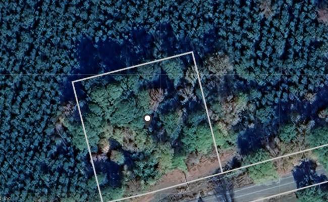 1308 Drum Hill Road, Gates County, NC 27926